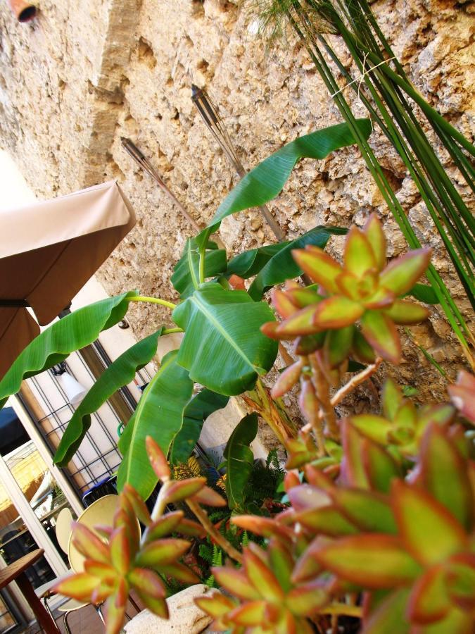 La Casa Di Marzapane Bed & Breakfast Palermo
